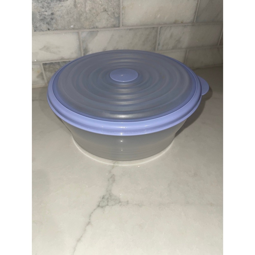 Tupperware 6 cup Stuffables Storage Container Blue Lid, Clear Bottom